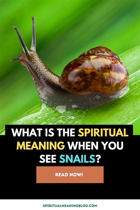 spiritual meaning of a snail
